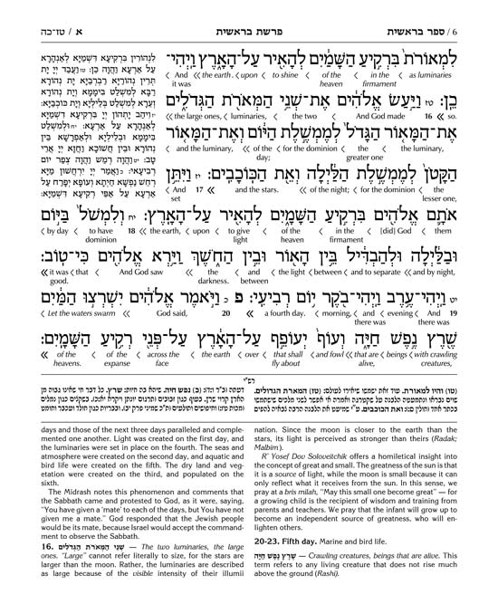 Schottenstein Ed Interlinear Chumash Complete in 1 Volume