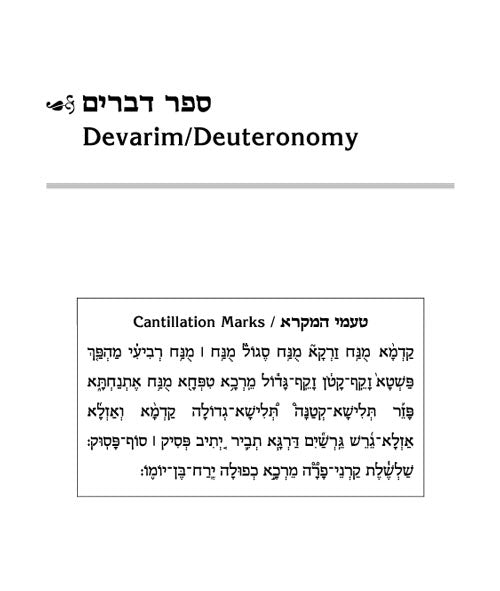 Schottenstein Ed Interlinear Chumash Vol 5: Devarim / Deuteronomy