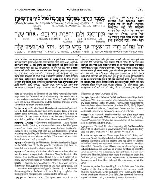 Schottenstein Ed Interlinear Chumash Vol 5: Devarim / Deuteronomy