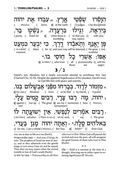 Interlinear Tehillim /Psalms Full Size The Schottenstein Edition [Hardcover]