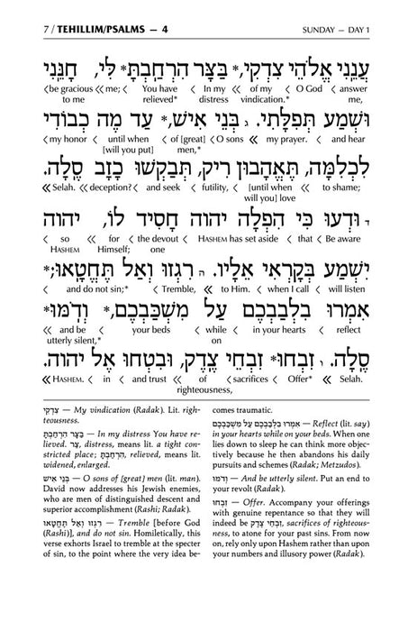 Schottenstein Ed Tehillim: Book of Psalms Interlinear Translation Leather W [Leather White]