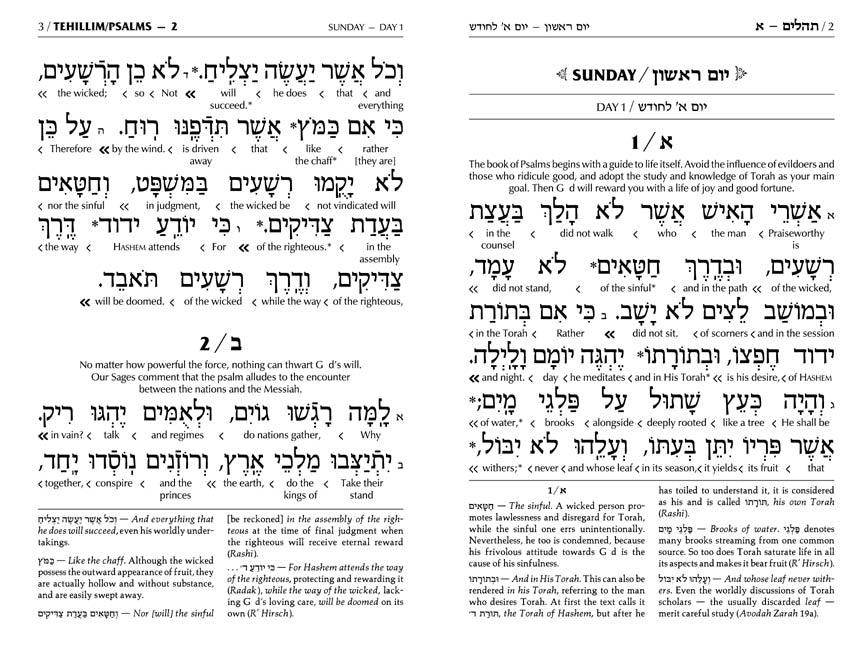 Schottenstein Ed Tehillim: Book of Psalms Interlinear Translation Leather Alligator