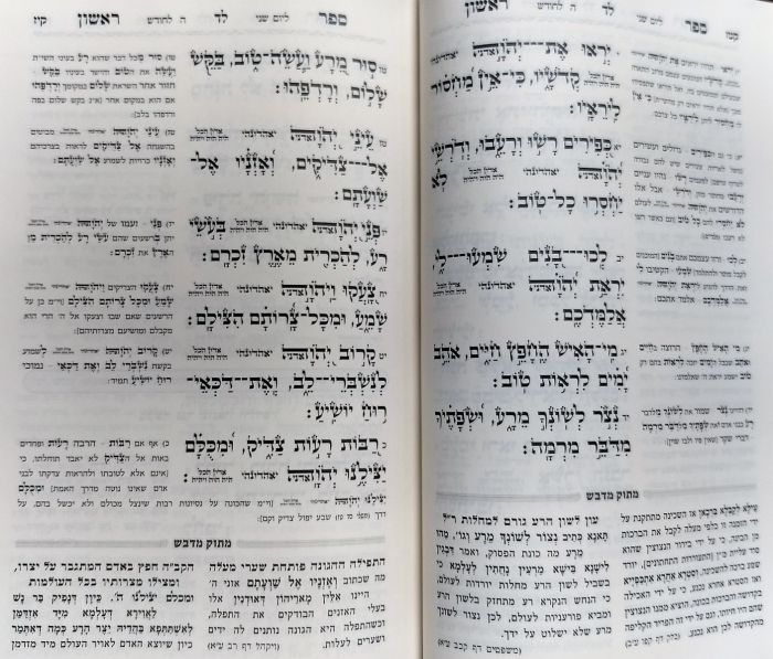 Tehillim - Matok MIdvash - ספר תהילים מתוק מדבש - הרב דניאל פריש