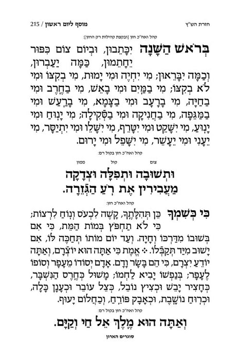 ArtScroll Machzor  Rosh Hashanah - Chazzan Size - Sefard  - Hebrew Only - with Hebrew Instructions