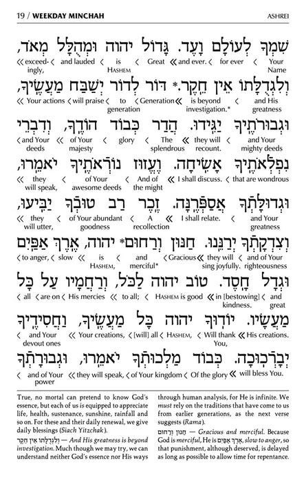 Schottenstein Siddur & Tehillim - Ashkenaz- Interlinear Translation 3 Volume - Full Set - Pocket Size