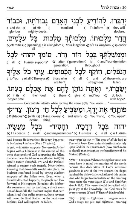 Schottenstein Siddur & Tehillim - Ashkenaz- Interlinear Translation 3 Volume - Full Set - Pocket Size