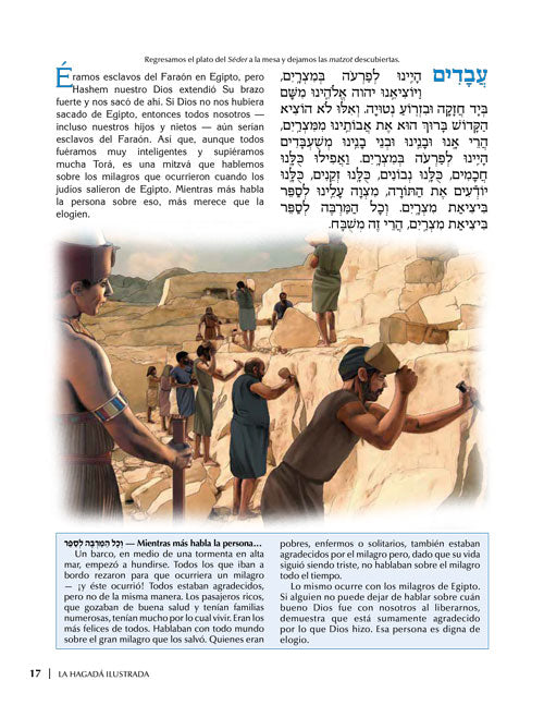 Hadagada La Hagadá Ilustrada - Illustrated Haggadah (Spanish) - Softcover ...