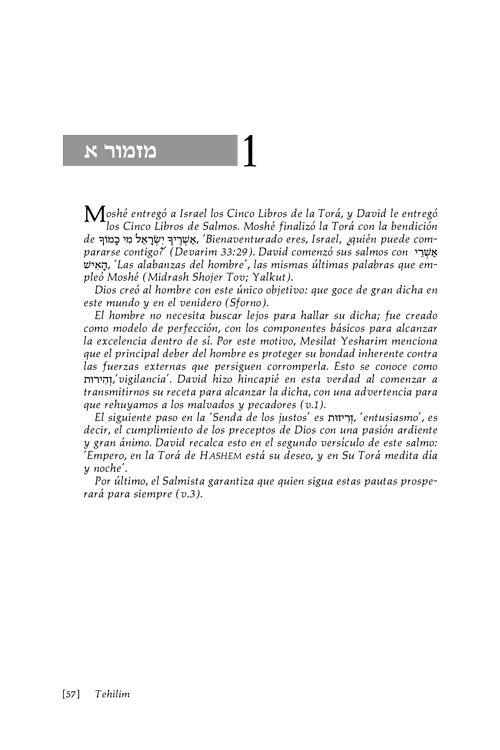 Tehillim - Salmos - Psalms Vol. 1 (Spanish)