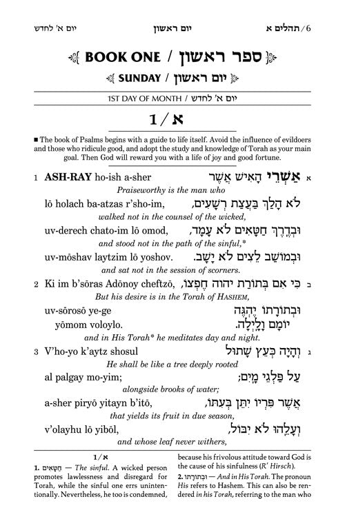 Tehillim: Transliterated Linear - Seif Edition
