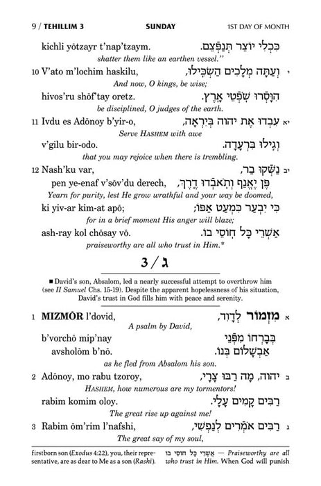 Tehillim: Transliterated Linear - Maroon Leather- Full Size
