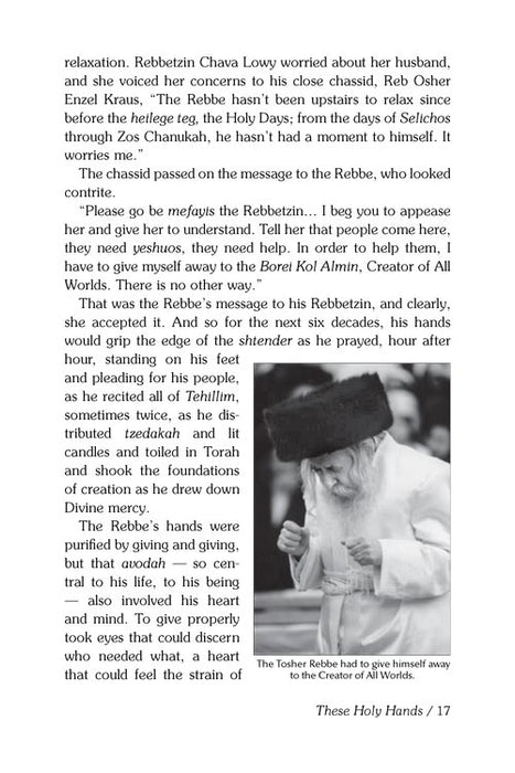The Tosher Rebbe - The life, leadership, and legacy of Rabbi Meshulam Feish Halevi Lowy